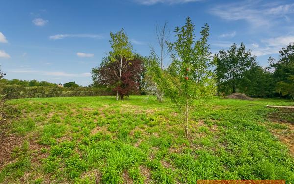 Terrain à vendre    Gaillac