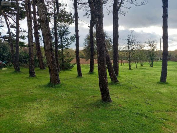 Maison à vendre à Crozon dans le Finistère (29160), ref : 3225-30