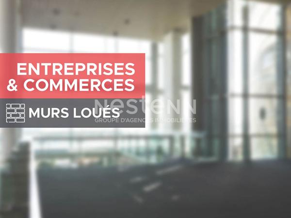 A VENDRE - Ensemble immobilier LOUE - Zone d'Activités de Francazal - Cugnaux (31)