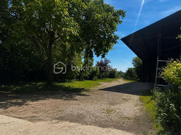 Situé à Méréville, dans un environnement pratique avec commerces, écoles et commodités à proximité, ainsi que la gare d’Angerville permettant de rejoindre Paris Austerlitz, découvrez cet ensemble immobilier rare à fort potentiel, idéal pour investisseur, marchand de biens ou projet patrimonial.
L’ensemble comprend 4 biens immobiliers, implantés sur une parcelle de plus de 2 000 m², comprenant :

Une maison de 105 m² pleine de charme, entièrement à rénover, avec cheminée, jardin et grande cave
Une maison de 85 m² à rafraîchir, avec jardin et cave
Un bien d’environ 141 m² offrant de beaux volumes et un fort potentiel d’aménagement
Une maison d’environ 94 m² avec cuisine, salon, WC, 3 chambres et salle de bain

Mais également :

Un hangar, idéal pour stockage, atelier ou activité
Une dépendance offrant encore de belles possibilités
Un terrain constructible d’environ 280 m²

Un ensemble offrant de nombreuses possibilités : investissement locatif, division, revente à la découpe, projet familial ou patrimonial.
L’ensemble est disponible à la vente en totalité, avec également la possibilité d’acquérir les biens séparément selon votre projet — n’hésitez pas à consulter mes autres annonces pour le détail de chaque bien
Un ensemble avec énormément de potentiel, que ce soit pour résidence principale avec revenus locatifs, investissement patrimonial ou projet de division.
Plus d’informations sur demande.