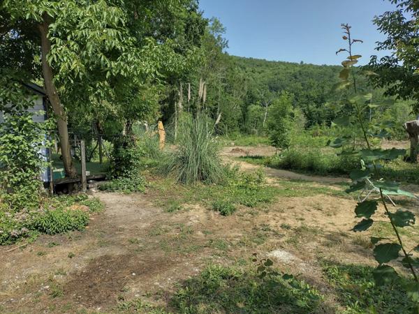 Vente Maison 11 pièces 240 m2 à Villeneuve-d'Olmes