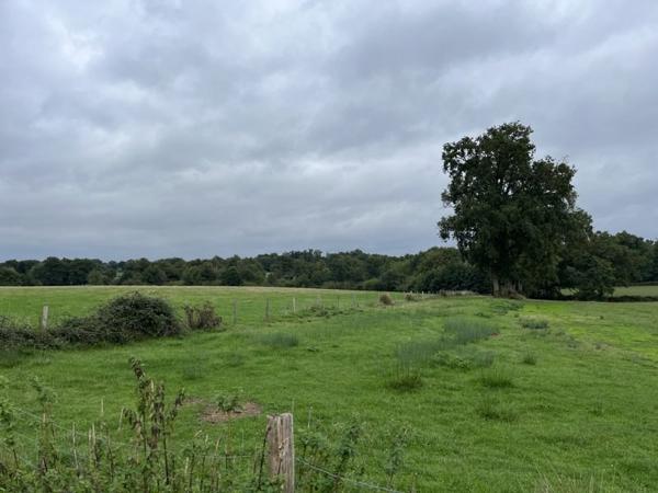 Maison à vendre |  Peyrat-de-Bellac |  5 pièces | 97 m²