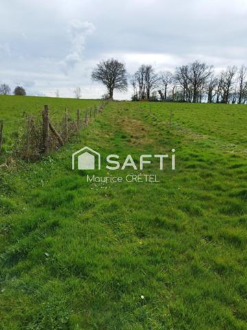 TERRAIN AGRICOLE +ETANG+DEPENDANCE