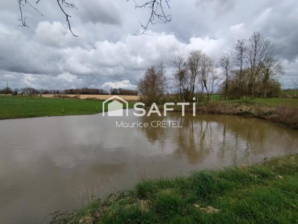 TERRAIN AGRICOLE +ETANG+DEPENDANCE