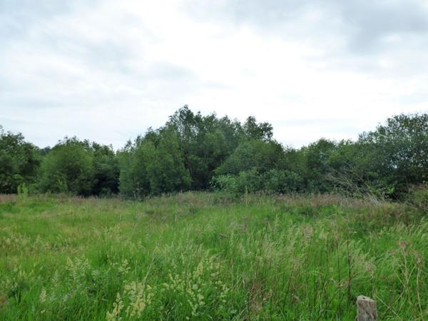 Terrain Chars 1700 m2