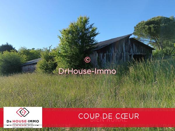 Terrain à vendre de 6 000 m²
