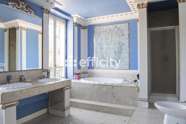 Maison 14 pièces - 530 m² Bien prestige