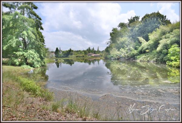 Propriete à vendre 8 pièces de 350 m² environ à MIMIZAN (40) avec lac privatif, cadre exceptionnel