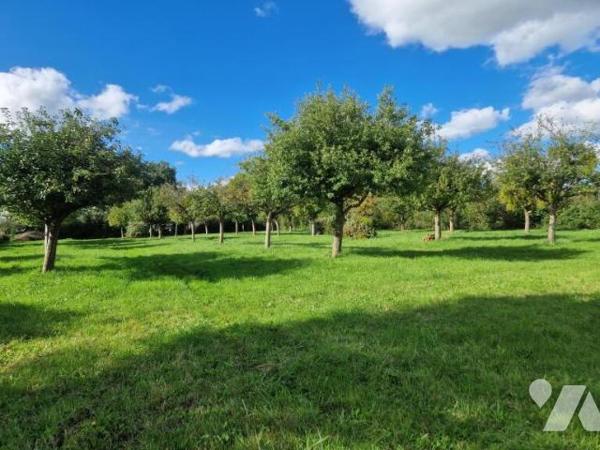 Propriété sur terrain de 2ha