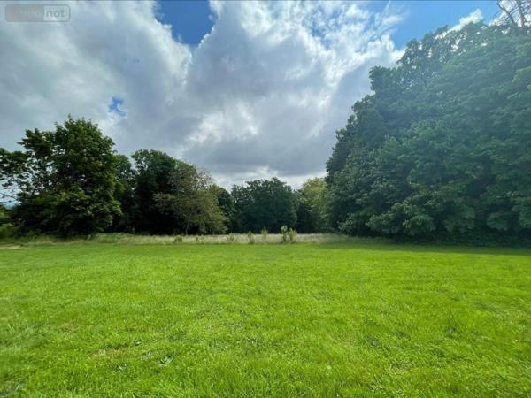 Terrain à Batir à vendre à Buellas dans l'Ain (01310), ref : 01083-1938