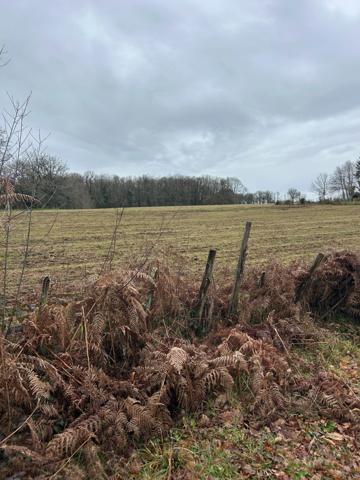 Terrain à vendre de 1 000,00 m² SAINT AMAND MAGNAZEIX (87)