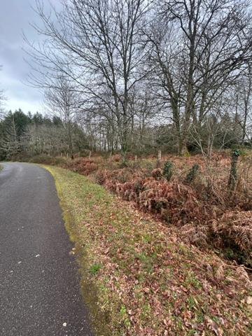 Terrain à vendre de 1 000,00 m² SAINT AMAND MAGNAZEIX (87)