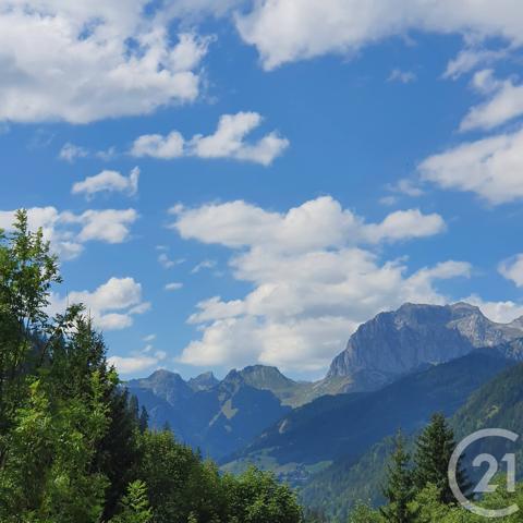 Appartement F1 à vendre  1 pièce - 15,40 m2 CHATEL - 74