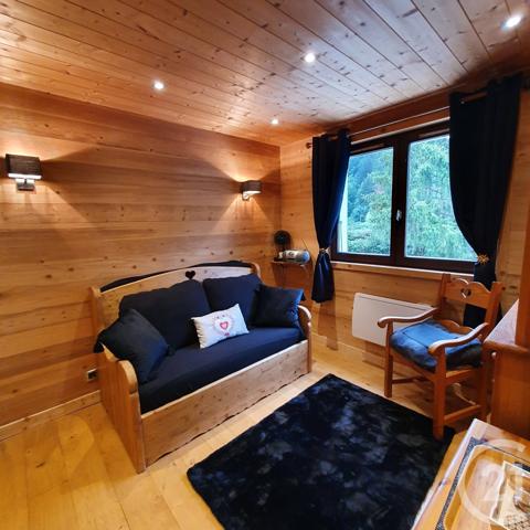 Appartement F1 à vendre  1 pièce - 15,40 m2 CHATEL - 74