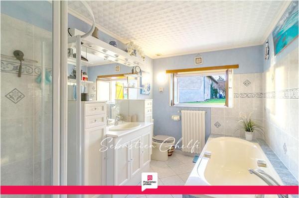 belle maison de plain-pied avec hangar et grand terrain