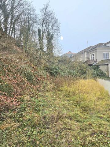 Atypique charme et clame Altkirch