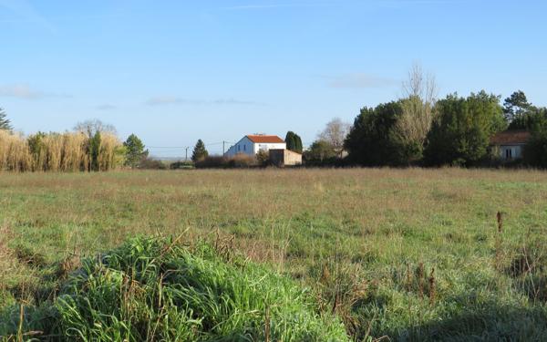 Terrain à vendre    Arvert
