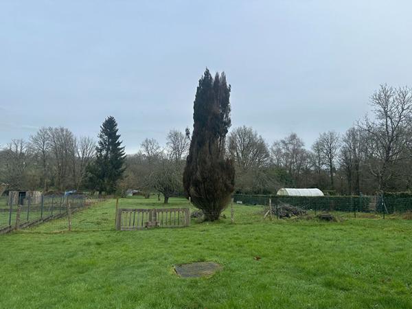 Belle artisanale, bien entretenue, excellent emplacement à Questembert !