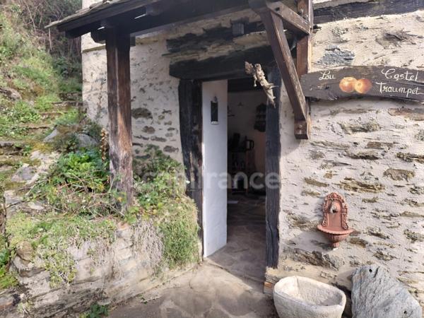 Maison de caractère sur les rives du Lot – Saint-Projet-de-Cassaniouze (15)