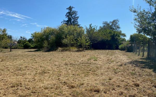 Terrain à vendre    Montussan