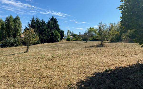 Terrain à vendre    Montussan