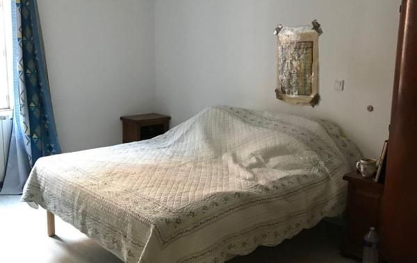 Vente Immeuble mixte commercial/habitation Besseges   