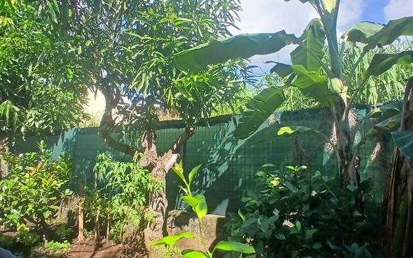 Maison à vendre    2 pièces • 50 m2 Entre-Deux