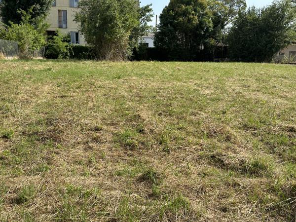 Terrain