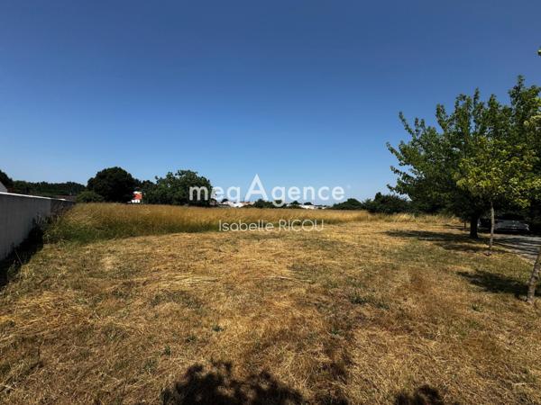 Terrain à ARVERT, 17530 - 15000m²