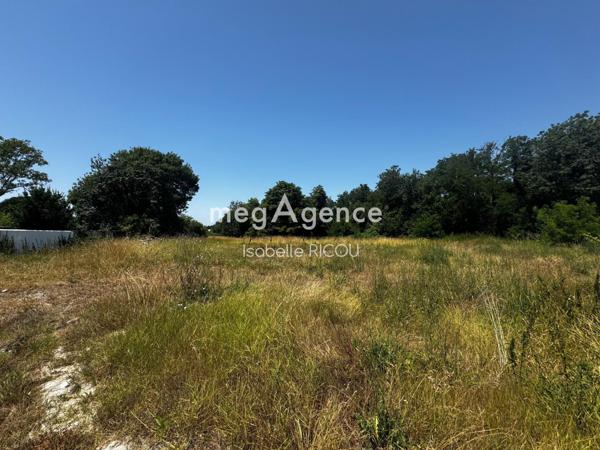Terrain à ARVERT, 17530 - 15000m²