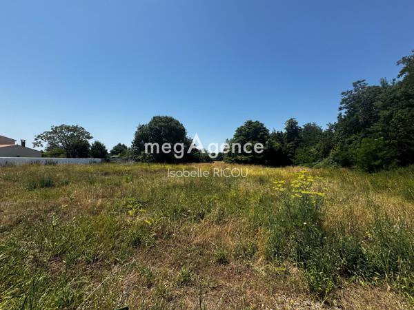 Terrain à ARVERT, 17530 - 15000m²