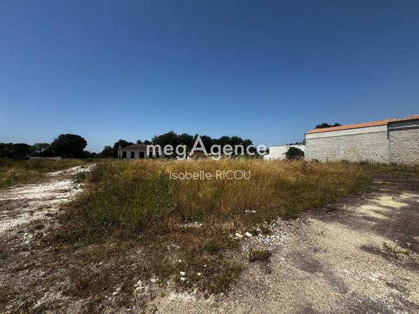 Terrain à ARVERT, 17530 - 15000m²