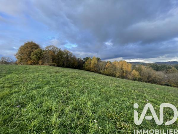 Terrain à vendre 53 431 m² Neuvic-Entier