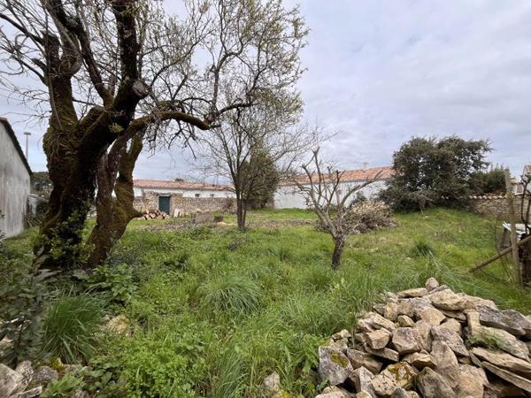 Terrain à vendre |  Rivedoux-Plage |  438 m²