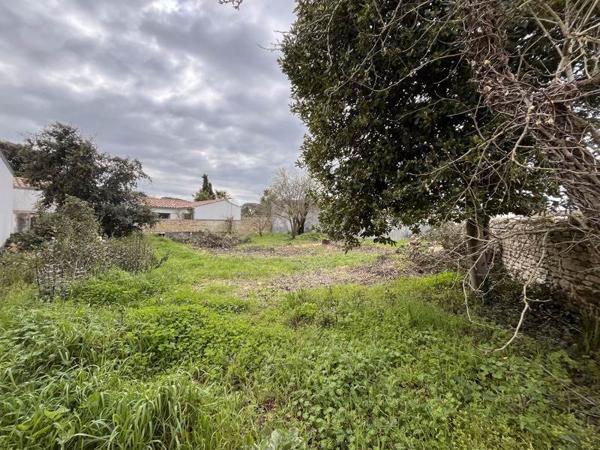 Terrain à vendre |  Rivedoux-Plage |  438 m²