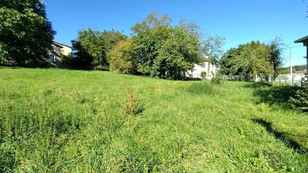 Vente Terrain 1000 m2 à Laroque-d'Olmes