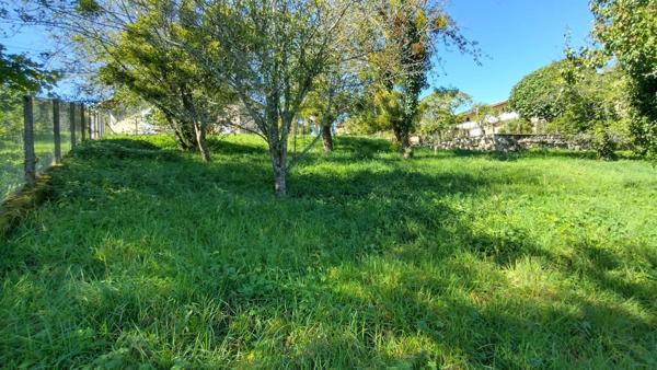 Vente Terrain 1000 m2 à Laroque-d'Olmes