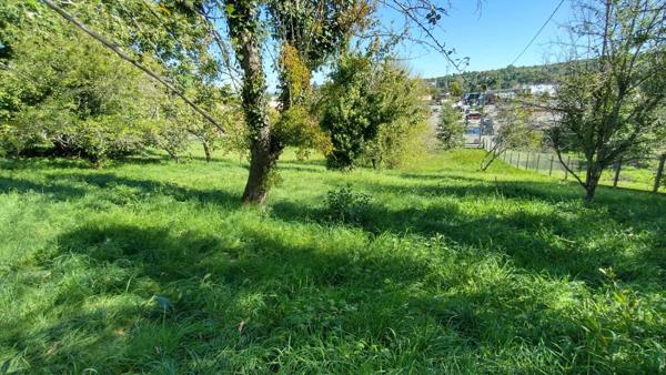 Vente Terrain 1000 m2 à Laroque-d'Olmes