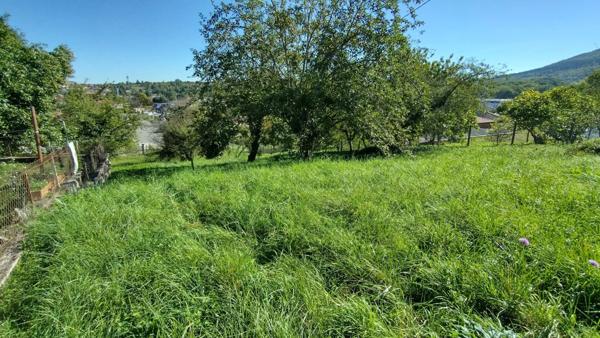 Vente Terrain 1000 m2 à Laroque-d'Olmes