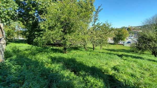 Vente Terrain 1000 m2 à Laroque-d'Olmes