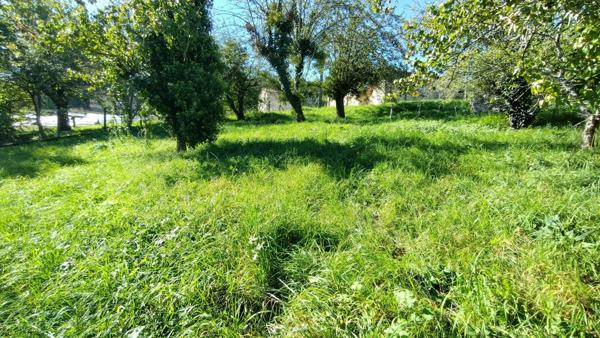 Vente Terrain 1000 m2 à Laroque-d'Olmes