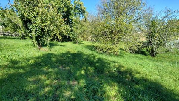 Vente Terrain 1000 m2 à Laroque-d'Olmes