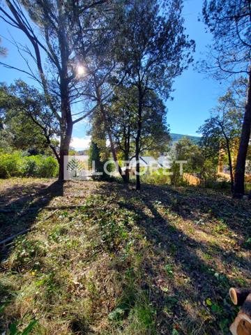 Achat terrain Cuers - 709 m² - 196 000 €