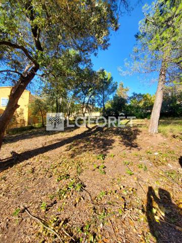 Achat terrain Cuers - 709 m² - 196 000 €