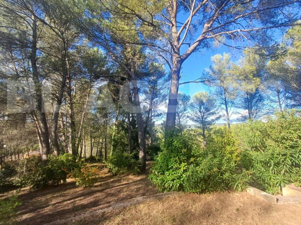 Exclusivité Maison sur la Destrousse 7 pièces, 230 m² + terrain de 3900 m² avec piscine et dépendanc