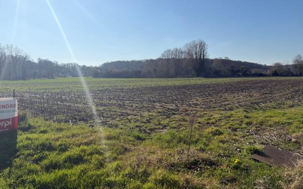 Terrain à vendre    Liercourt