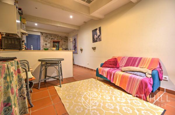 Céret (66400) Bien rare sur le secteur