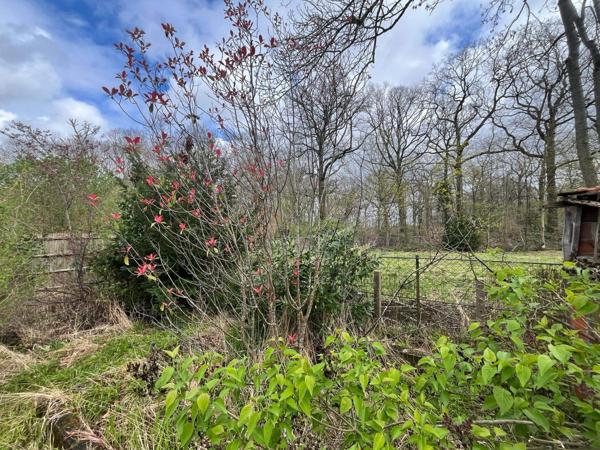 Terrain à bâtir – Quartier résidentiel de La Celle-Saint-Cloud