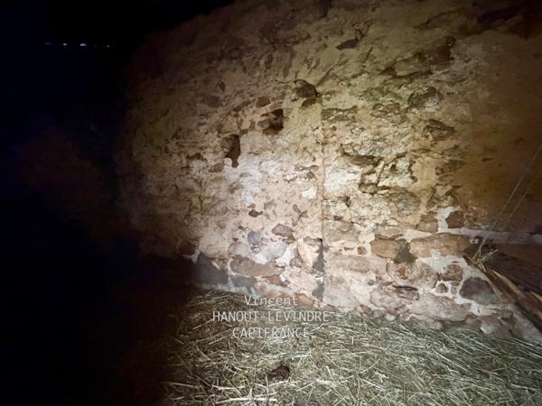 Maison à vendre 5 pièces TIERCE (49)