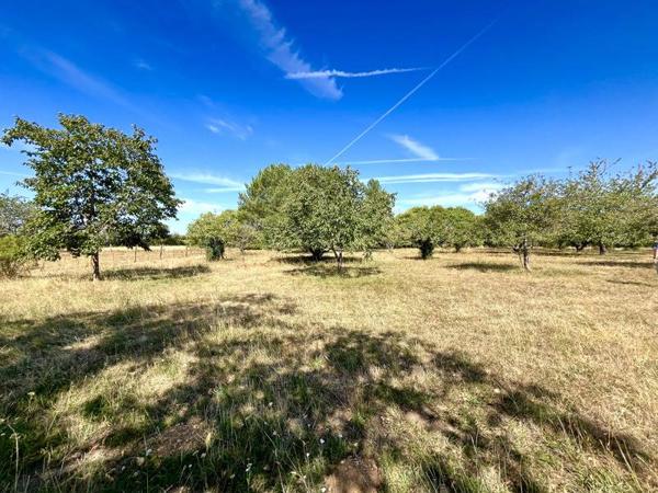 Maison à vendre 244 950 € Cellefrouin 5 p 185 m² DPE C